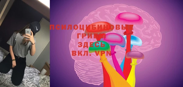 дмт Алзамай