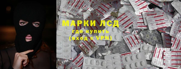 прущие грибы Осинники