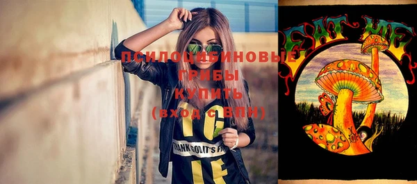 дмт Алзамай