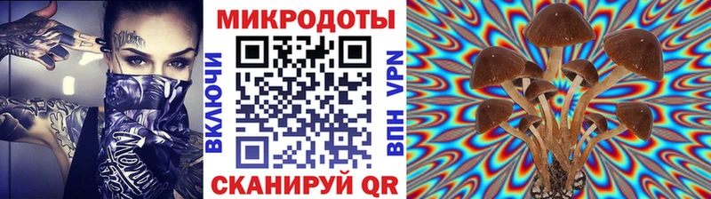Галлюциногенные грибы Psilocybine cubensis  кракен tor  Джанкой 